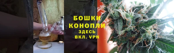 сатива Горно-Алтайск
