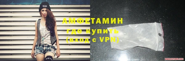 ПСИЛОЦИБИНОВЫЕ ГРИБЫ Гусев