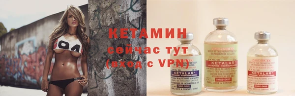 сатива Горно-Алтайск