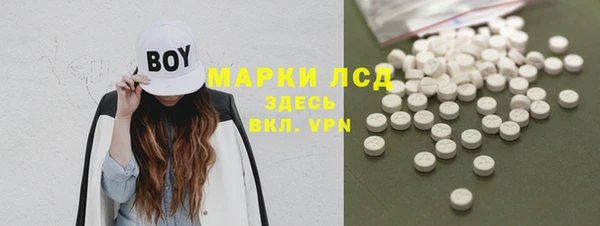 ПСИЛОЦИБИНОВЫЕ ГРИБЫ Гусев