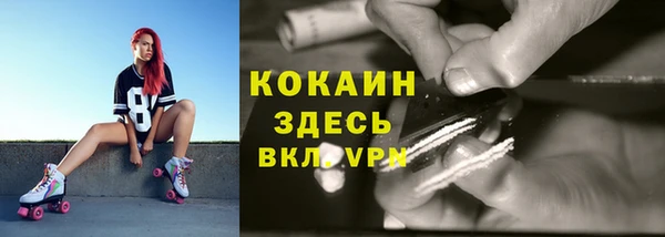 ПСИЛОЦИБИНОВЫЕ ГРИБЫ Гусев