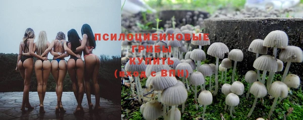 не бодяженный Горняк