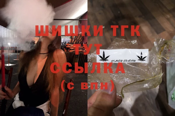 ПСИЛОЦИБИНОВЫЕ ГРИБЫ Гусев
