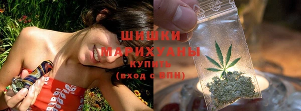 ПСИЛОЦИБИНОВЫЕ ГРИБЫ Гусев