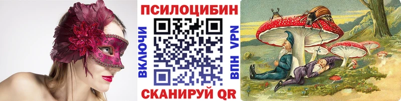 darknet как зайти  блэк спрут рабочий сайт  Димитровград  Псилоцибиновые грибы Psilocybe 